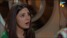 Mere Damad - Episode 42